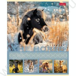 Тетрадь  40л клетка "The Horse" ассорти | Фото 2