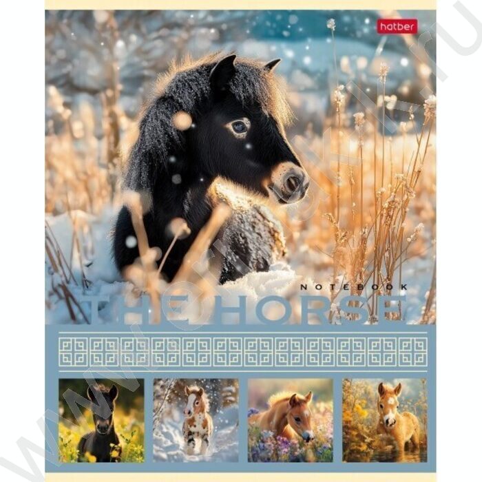 Тетрадь  40л клетка "The Horse" ассорти | Фото 2