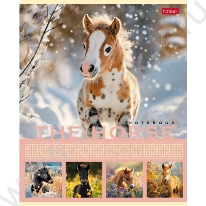 Тетрадь  40л клетка "The Horse" ассорти | Фото 3