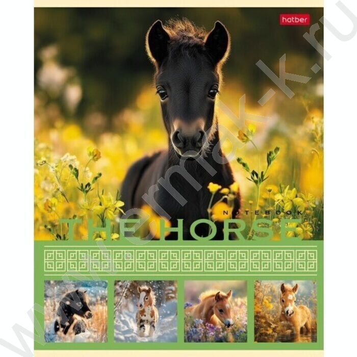 Тетрадь  40л клетка "The Horse" ассорти | Фото 4