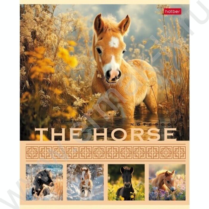 Тетрадь  40л клетка "The Horse" ассорти | Фото 5
