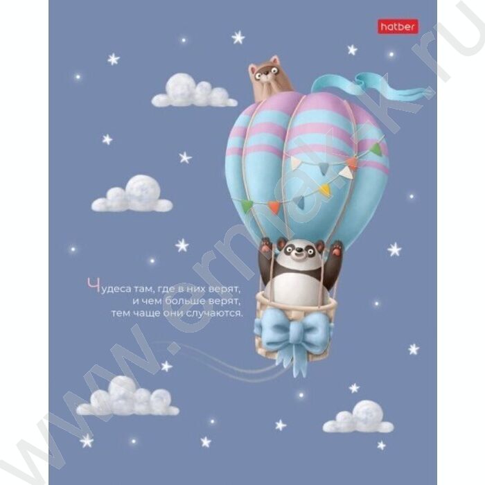 Тетрадь  40л клетка "На воздушном шаре" /ламинация Soft-touch/ ассорти | Фото 1