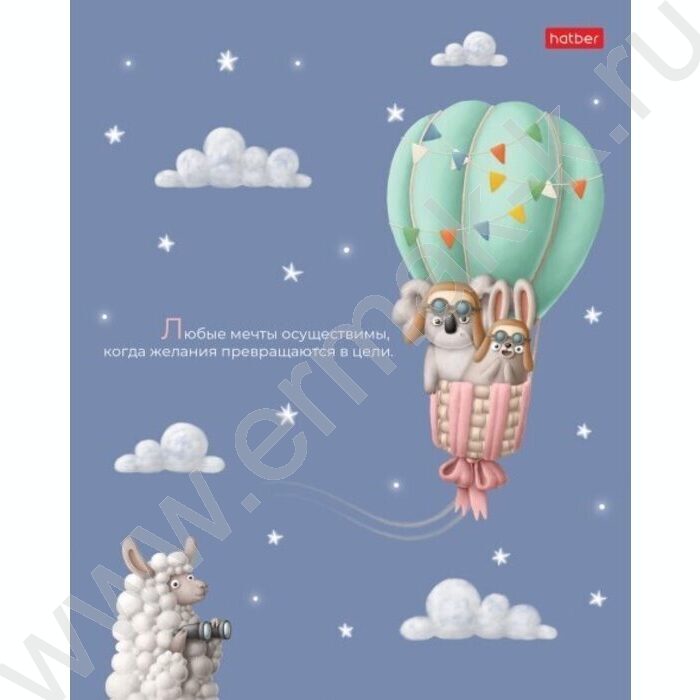 Тетрадь  40л клетка "На воздушном шаре" /ламинация Soft-touch/ ассорти | Фото 2