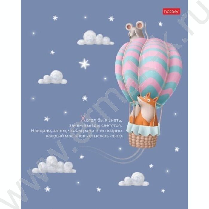 Тетрадь  40л клетка "На воздушном шаре" /ламинация Soft-touch/ ассорти | Фото 3