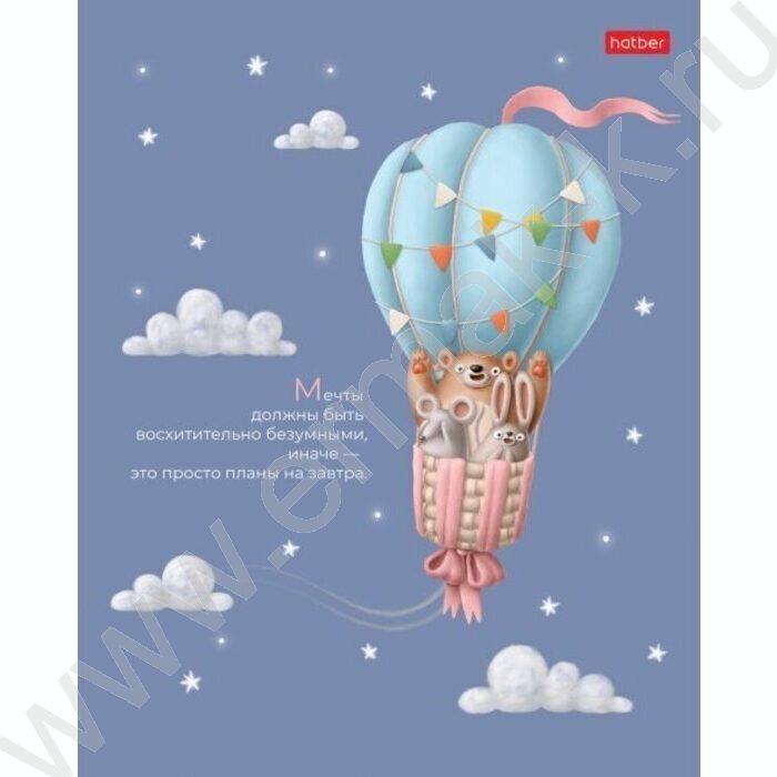 Тетрадь  40л клетка "На воздушном шаре" /ламинация Soft-touch/ ассорти | Фото 5