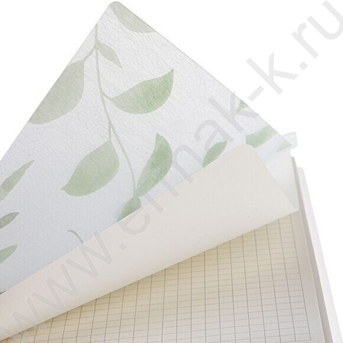 Тетрадь  80л клетка/спираль/пластик.обл. "NATURAL LEAVES" /тониров.блок | Фото 3