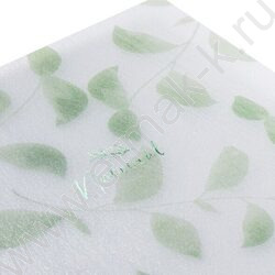 Тетрадь  80л клетка/спираль/пластик.обл. "NATURAL LEAVES" /тониров.блок | Фото 4