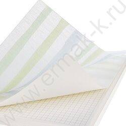 Тетрадь  80л клетка/спираль/пластик.обл. "NATURAL LINES" /тониров.блок | Фото 3