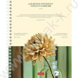 Тетрадь  96л линейка/спираль "Наше время" /ламинация Soft-touch/ ассорти | Фото 1