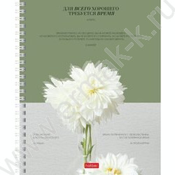 Тетрадь  96л линейка/спираль "Наше время" /ламинация Soft-touch/ ассорти | Фото 2