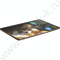 Картон цв+бум.цв А4 26л 10цв/ 8цв "Весёлый корги" блок - газетная бумага, мелованный картон с | Фото 2