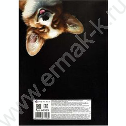 Картон цв+бум.цв А4 26л 10цв/ 8цв "Весёлый корги" блок - газетная бумага, мелованный картон с | Фото 9