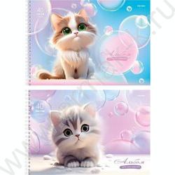 Альбом д/рисования-спираль 40л "Нежные котики" NEW | Фото 1