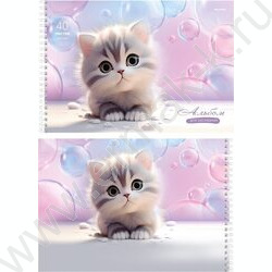 Альбом д/рисования-спираль 40л "Нежные котики" NEW | Фото 4