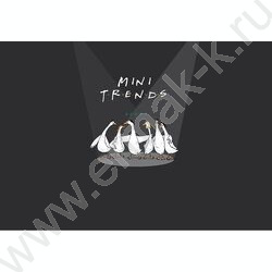 Альбом д/рисования-спираль 40л "Mini Friends" NEW | Фото 3