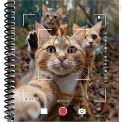 Зап. книжка  80л А6 спираль "Котики в объективе камеры" NEW | Фото 2
