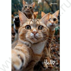 Зап. книжка 160л А5 тв.обл. "Фотография котиков" /глянец/ NEW | Фото 1