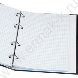 Тетрадь  80л клетка/кольца "NO WHITE" | Фото 3