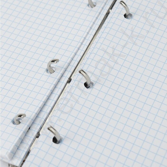 Тетрадь  80л клетка/кольца "NO WHITE" | Фото 4