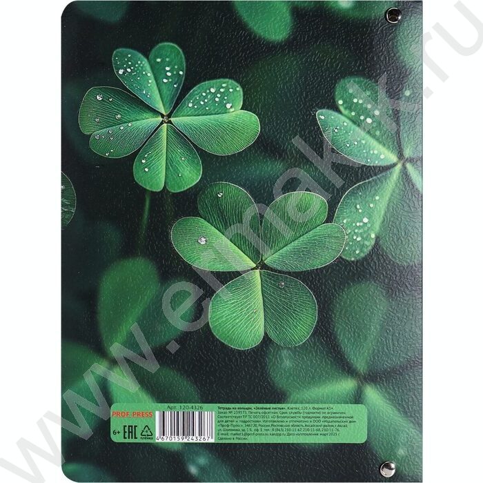 Тетрадь 120л клетка/кольца/интегр. обл./перфорация "Зеленые листья" /мат. лам.,холст/ | Фото 2