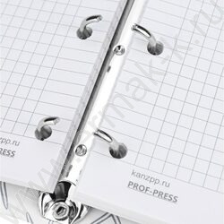 Тетрадь 120л клетка/кольца/интегр. обл./перфорация "Морская пена-3" /мат. лам.,холст/ | Фото 3