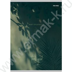 Тетрадь  80л А4 клетка "Тень от листьев" | Фото 1