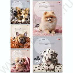 Тетрадь  12л клетка "Прелестные щеночки" 5видов | Фото 1