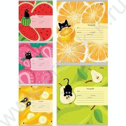 Тетрадь  12л клетка "Фрукты,ягоды и кот" 5видов | Фото 1