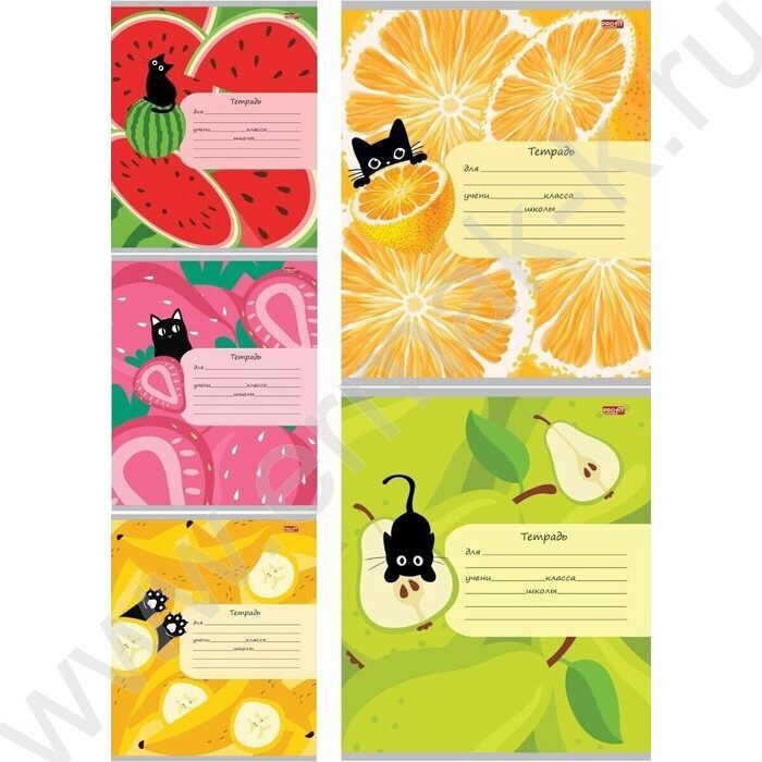 Тетрадь  12л клетка "Фрукты,ягоды и кот" 5видов | Фото 1