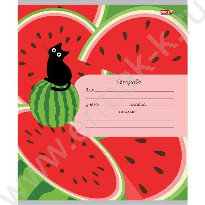 Тетрадь  12л клетка "Фрукты,ягоды и кот" 5видов | Фото 2