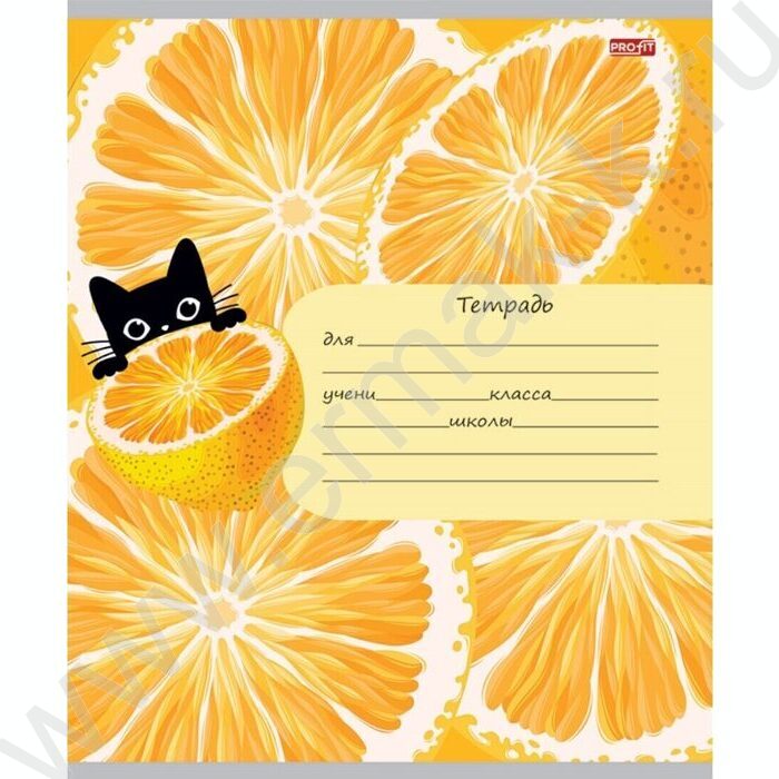 Тетрадь  12л клетка "Фрукты,ягоды и кот" 5видов | Фото 3