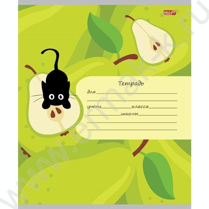 Тетрадь  12л клетка "Фрукты,ягоды и кот" 5видов | Фото 5