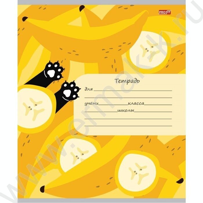 Тетрадь  12л клетка "Фрукты,ягоды и кот" 5видов | Фото 6