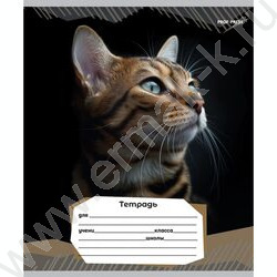 Тетрадь  12л линейка "Портретные фото котов-2" 5видов | Фото 3