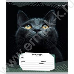 Тетрадь  12л линейка "Портретные фото котов-2" 5видов | Фото 4