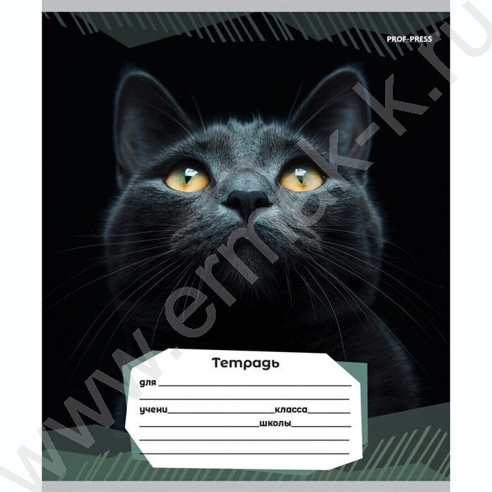 Тетрадь  12л линейка "Портретные фото котов-2" 5видов | Фото 4