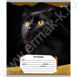 Тетрадь  12л линейка "Портретные фото котов-2" 5видов | Фото 5