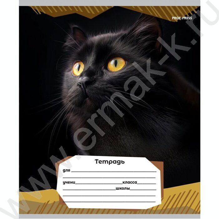 Тетрадь  12л линейка "Портретные фото котов-2" 5видов | Фото 5