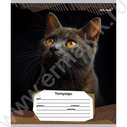 Тетрадь  12л линейка "Портретные фото котов-2" 5видов | Фото 6