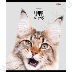 Тетрадь  48л клетка "Кошачьи мордочки-2" ассорти | Фото 2