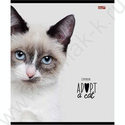 Тетрадь  48л клетка "Кошачьи мордочки-2" ассорти | Фото 3