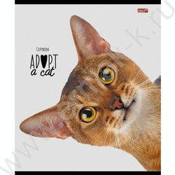 Тетрадь  48л клетка "Кошачьи мордочки-2" ассорти | Фото 4