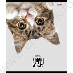 Тетрадь  48л клетка "Кошачьи мордочки-2" ассорти | Фото 5