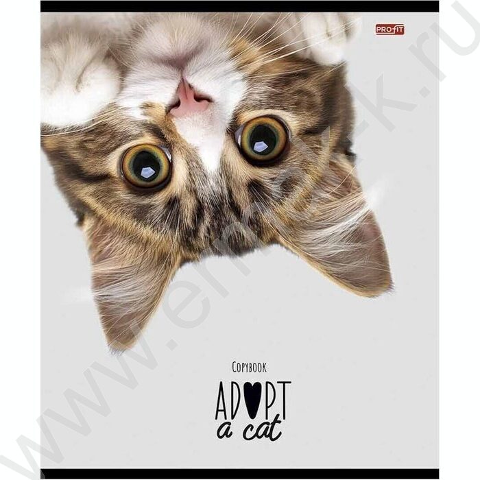 Тетрадь  48л клетка "Кошачьи мордочки-2" ассорти | Фото 5