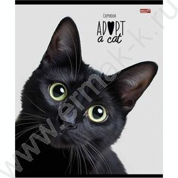 Тетрадь  48л клетка "Кошачьи мордочки-2" ассорти | Фото 6