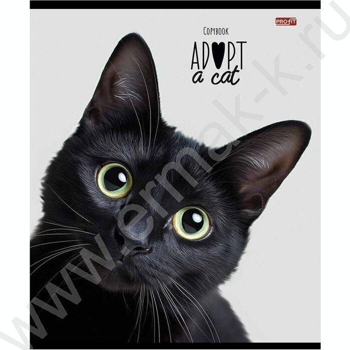 Тетрадь  48л клетка "Кошачьи мордочки-2" ассорти | Фото 6