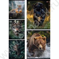 Тетрадь  48л клетка "Разные хищники" ассорти | Фото 1