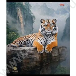 Тетрадь  48л клетка "Разные хищники" ассорти | Фото 2