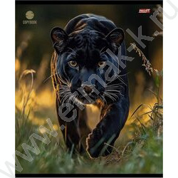 Тетрадь  48л клетка "Разные хищники" ассорти | Фото 3