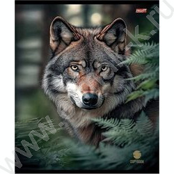 Тетрадь  48л клетка "Разные хищники" ассорти | Фото 4